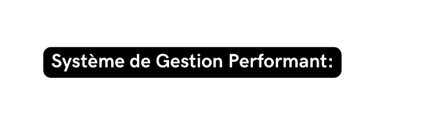 Système de Gestion Performant