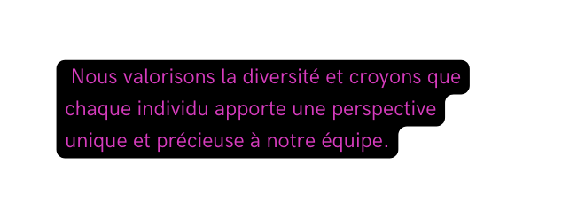 Nous valorisons la diversité et croyons que chaque individu apporte une perspective unique et précieuse à notre équipe