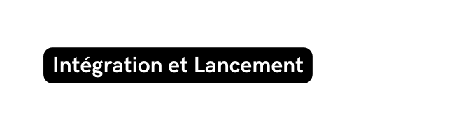 Intégration et Lancement