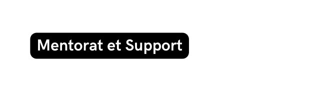 Mentorat et Support